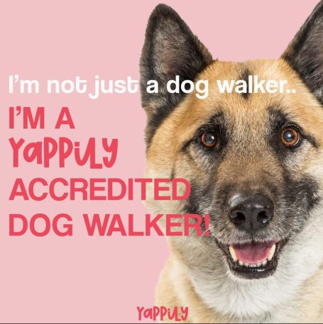 I'm not just a dog walker.. I'm a Yappily accredited dog walker